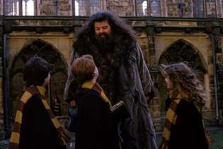 Hagrid, Harry Potter e os amigos Hermione e Rony