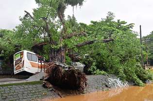 A força das águas derrubou árvores, que atingiram veículos no Rio ontem