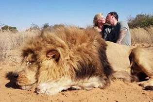 Casal canadense mata leão e posa para foto aos beijos junto do animal
