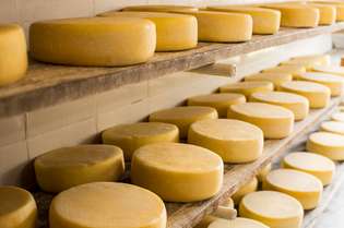 Produção do queijo Canastra