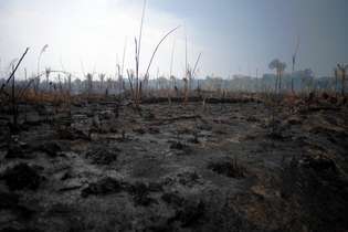 O avanço do desmatamento, da degradação e das queimadas vem cercando também indígenas isolados do sul do Amazonas