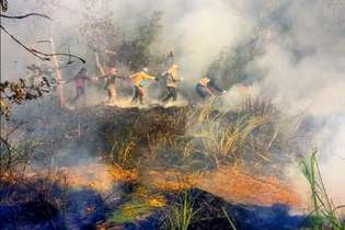 Bombeiros, voluntários e brigadistas trabalham para conter as chamas em Alter do Chão, no Pará