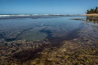 As primeiras manchas de óleo apareceram no litoral da Paraíba no fim de agosto