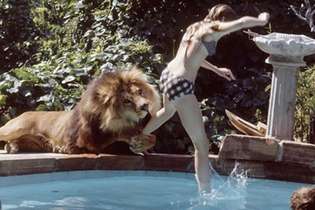 Cena do filme "Roar", que já mostrava o apreço de TIppi Hedren pelos grandes felinos
