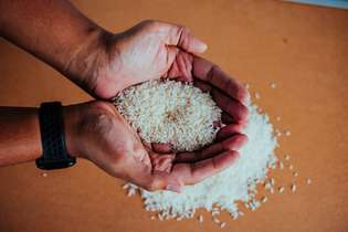 Ministra diz que governo tomou medidas para controlar preço do arroz