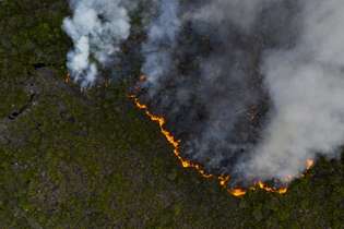 Estimativa é de que o fogo tenha consumido mais de 2.000 hectares