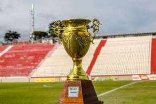 Taça será entregue ao campeão, que terá acesso garantido na elite em 2021