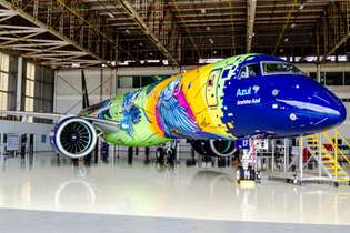 Avião Ararinha Azul retrata símbolo da fauna brasileira