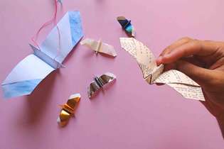 O vídeo Desdobrando o museu: Aves do Sertão é um convite para a construção de origamis