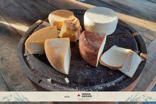 Rota do Queijo Terroir no Campos das Vertentes leva às fazendas que produzem o queijo de minas artesanal