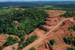 Devastação causada por garimpo ilegal no estado do Pará