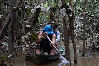 Indígenas fazem buscas em região alagada da bacia do rio Javari para encontrar Bruno Pereira e Dom Phillips