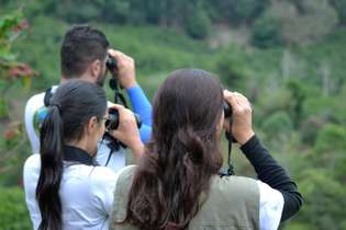 Visitantes observam pássaros no Parque Nacional do Caparaó