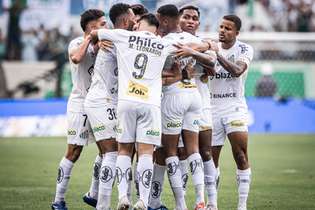 Jogadores do Santos comemoraram bastante a vitória sobre o Palmeiras