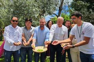 A colheita da azeitona foi aberta oficialmente na alameda das Oliveiras, no centro de Maria da Fé, onde estão plantadas oliveiras centenárias