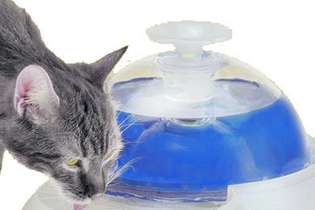 Bebedouro chafariz mantém a água corrente, mais atrativa para os gatos Preço R$329 Animalle Pet Shop