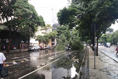 Árvore interdita a avenida Afonso Pena no sentido Mangabeiras