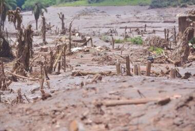 Lama de rejeitos destruiu 15km² de terras ao longo de 77km de rios