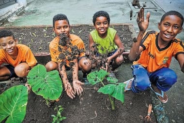 Mãos à obra. Alunos da Escola Municipal Paulo Freire colocam a mão na terra para cultivar horta; plantação também é replicada em casa