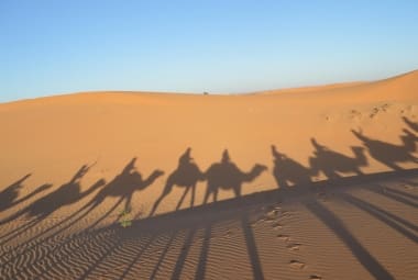 Imperdível passeio pelo deserto sobre o lombo de um camelo