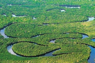 O estudo destaca o papel desempenhado pelas reservas indígenas na conservação da floresta amazônica, iniciativas estaduais e a ação de promotores públicos