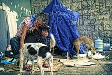 Lúcia Machado vive em uma barraca na companhia de seus sete cachorros