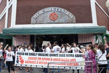 Cidades- Belo Horizonte, Mg. Manifestacao contra venda de animais no Mercado Central . Fotos: Leo Fontes /  O Tempo - 28.11.15
