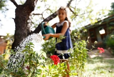 A pequena Ara Rosa ajuda os pais nos cuidados com o jardim da casa